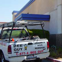 Riverside Bee Removal Guys Service Truck